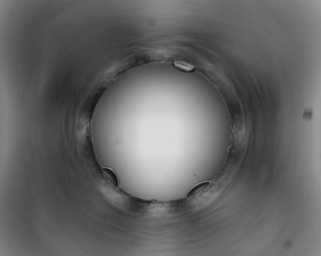 X0000101180574200807111118
