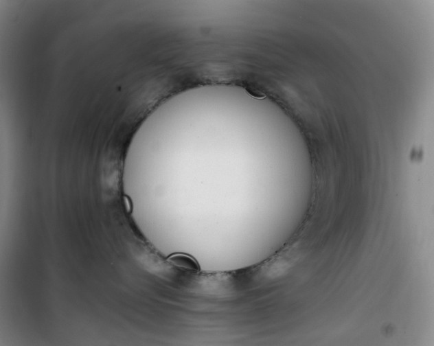 X0000101180576200807111118