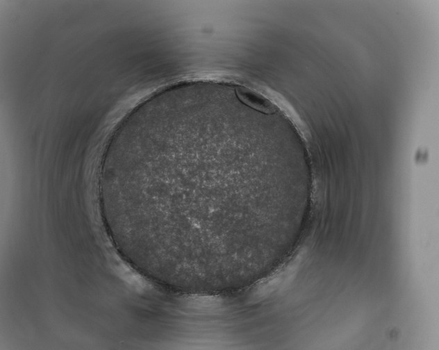 X0000101180577200807111117