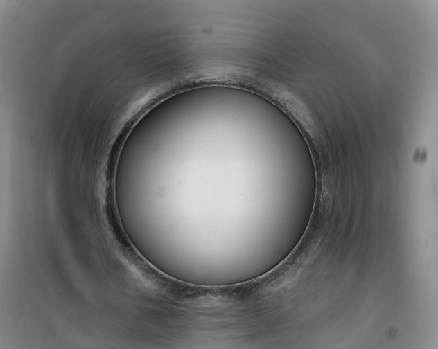 X0000101180578200807111117