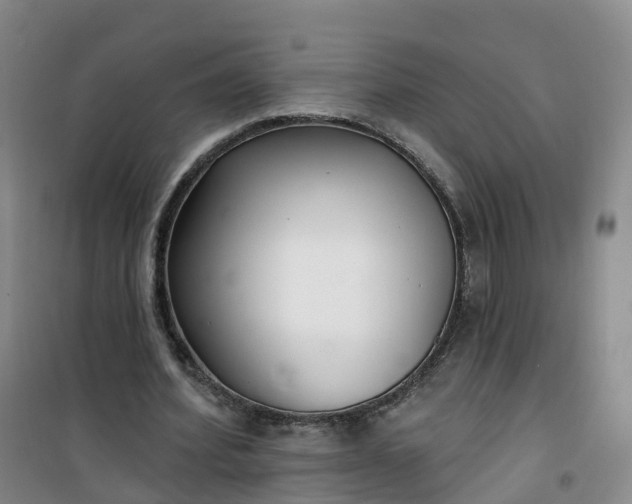 X0000101180580200807111117