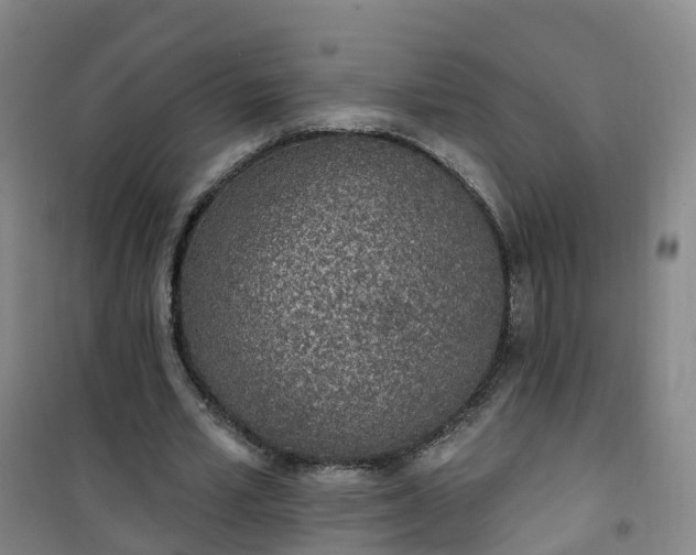 X0000101180581200807111117
