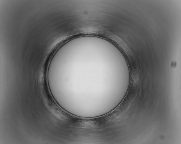 X0000101180583200807111117