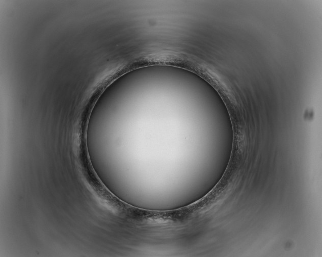 X0000101180586200807111117