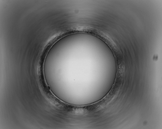 X0000101180587200807111117