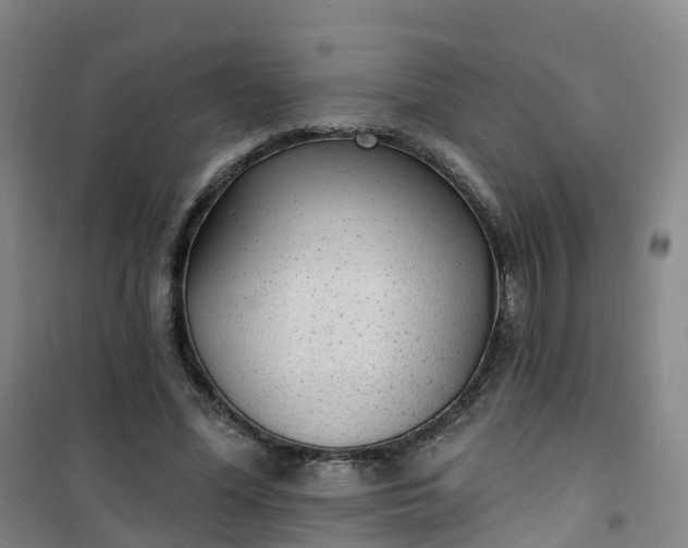 X0000101180588200807111117