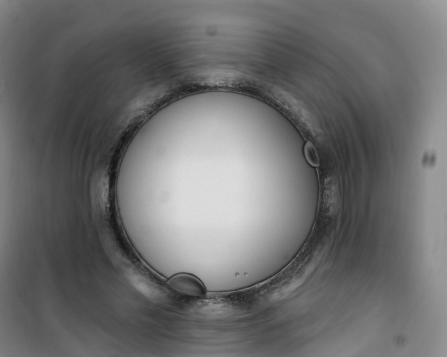 X0000101180589200807111117