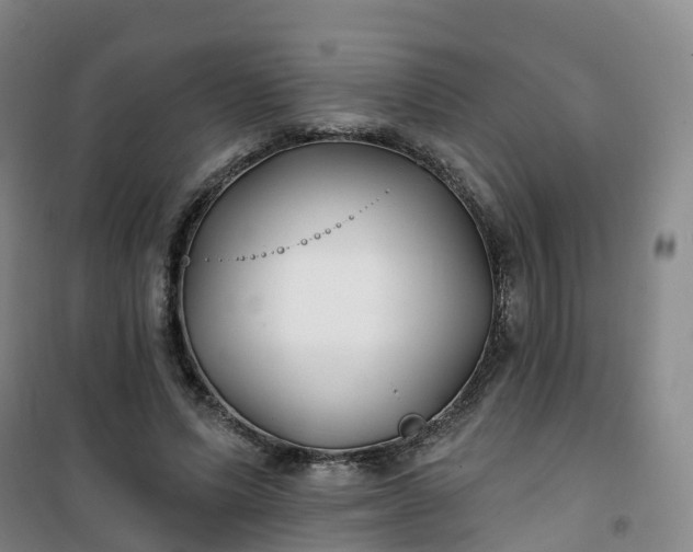 X0000101180591200807111117