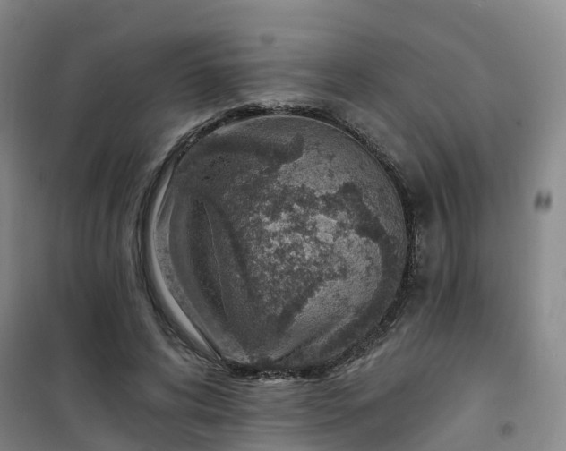 X0000101180592200807111117