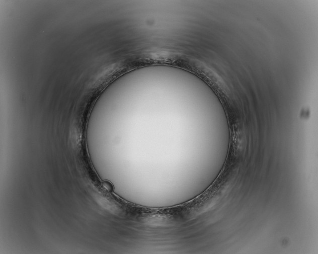 X0000101180593200807111117