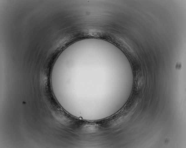 X0000101180595200807111117