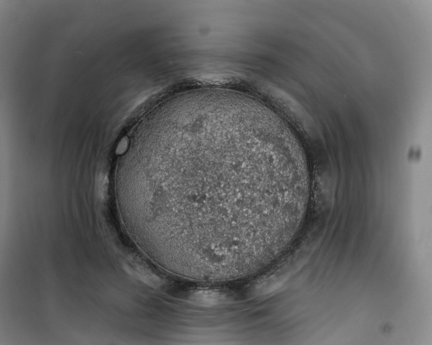X0000101180596200807111117