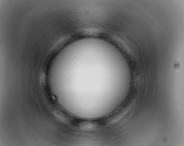 X0000101180597200807111117