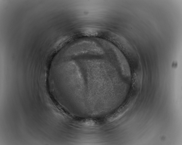 X0000101180600200807111117