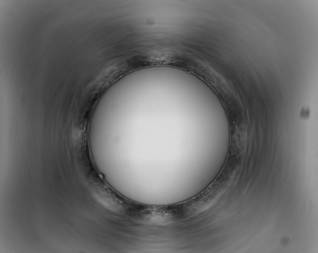 X0000101180601200807111117