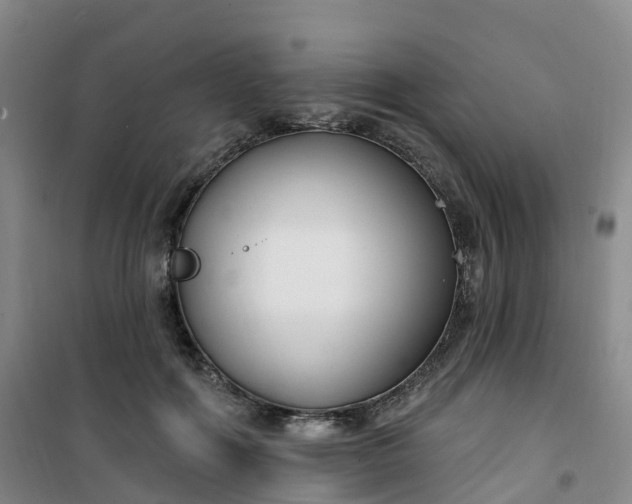 X0000101180602200807111117