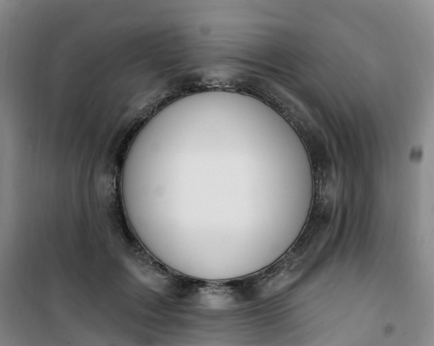 X0000101180603200807111117