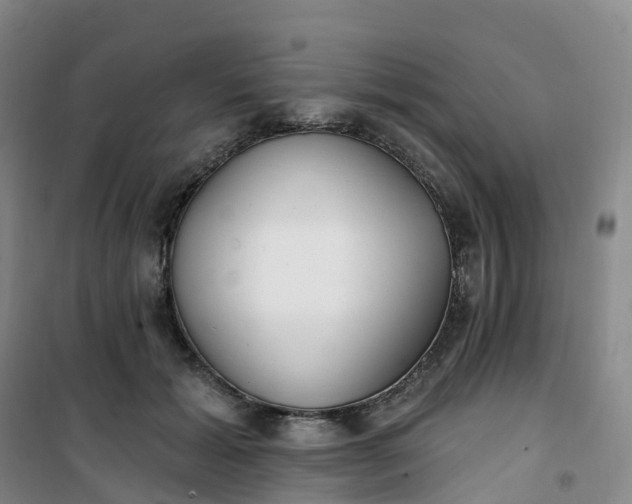 X0000101180605200807111117