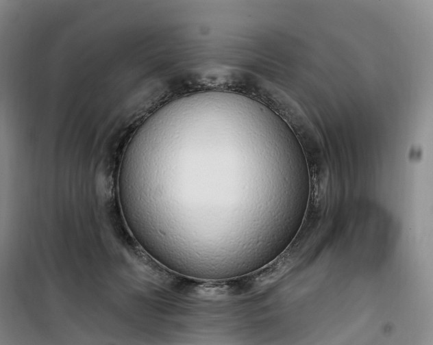 X0000101180606200807111117