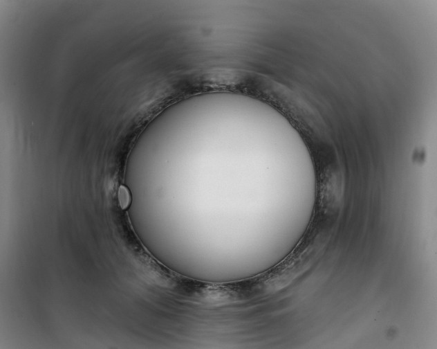 X0000101180608200807111117