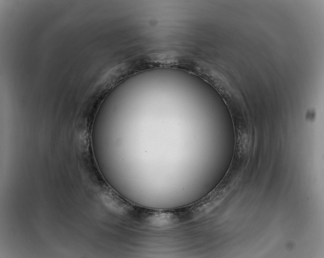 X0000101180609200807111117