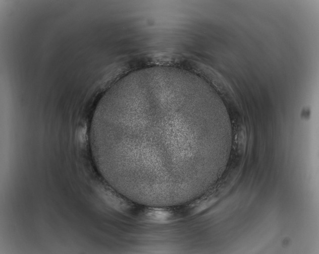 X0000101180610200807111117