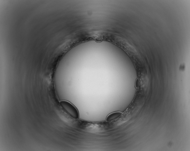 X0000101180611200807111117