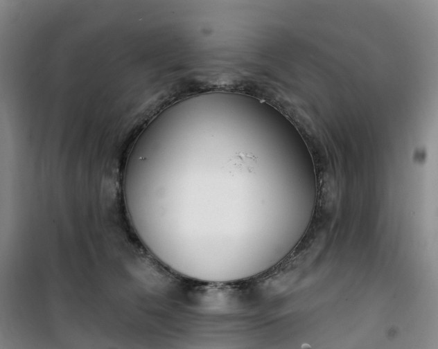 X0000101180612200807111117
