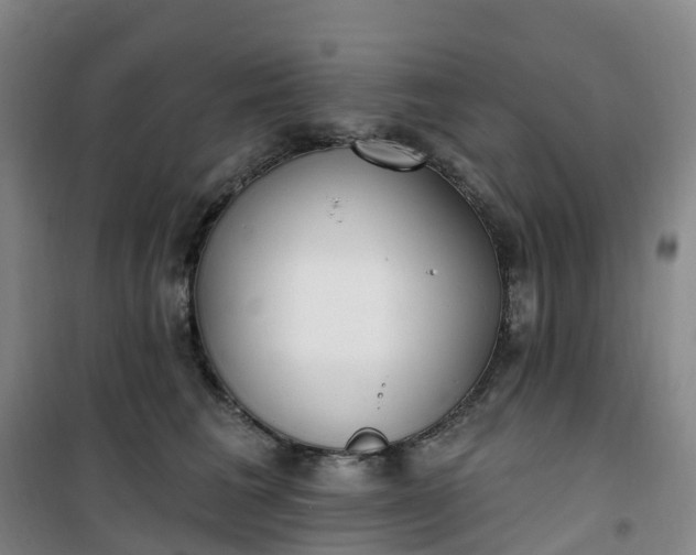 X0000101180613200807111117