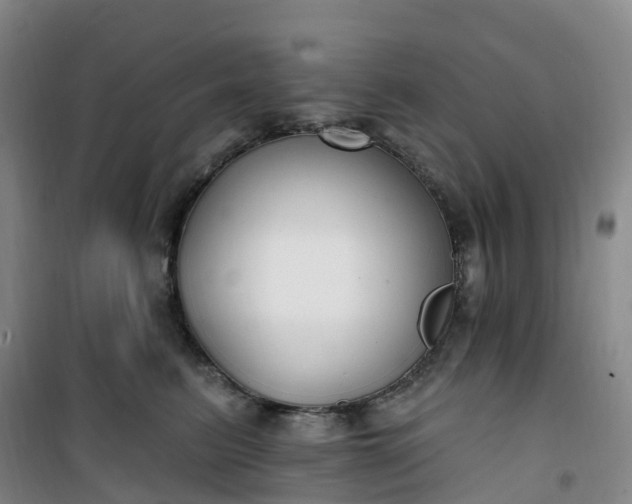 X0000101180615200807111117