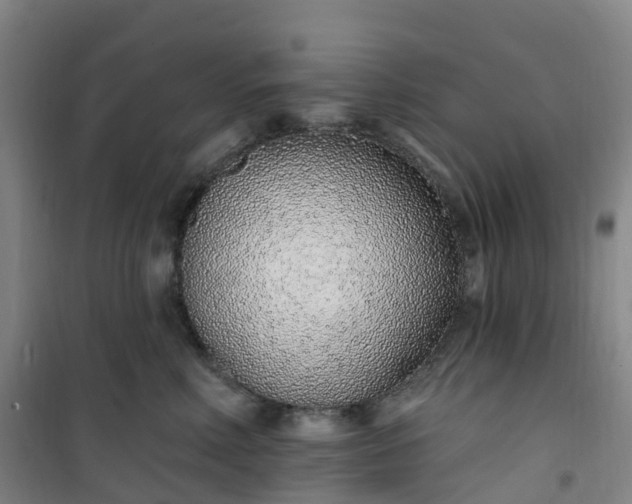 X0000101180618200807111117