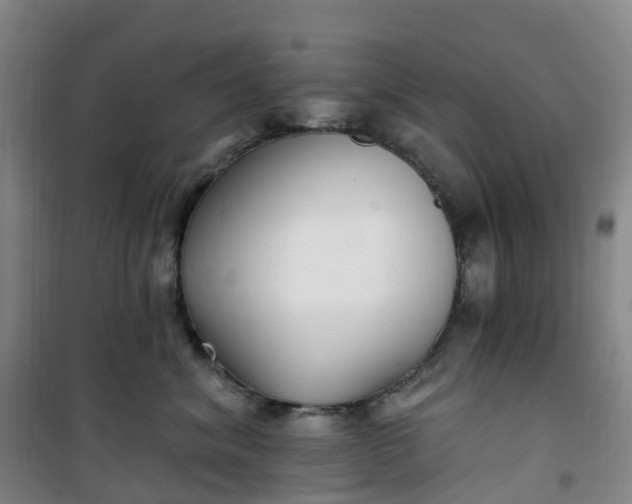 X0000101180620200807111117
