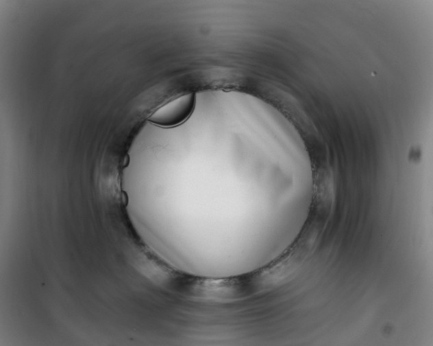 X0000101180622200807111117