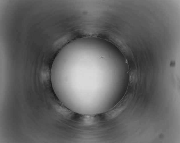 X0000101180623200807111117