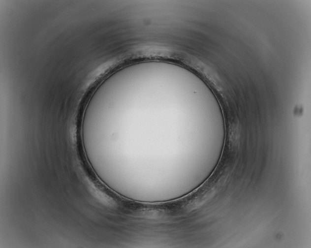 X0000101180629200807111116