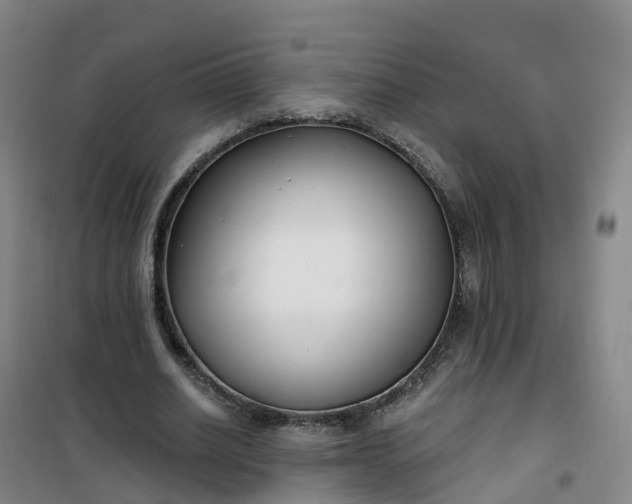 X0000101180630200807111116