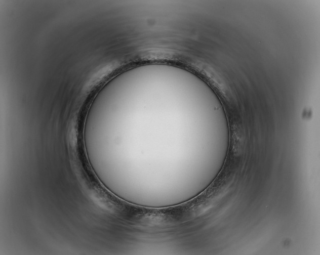 X0000101180631200807111116