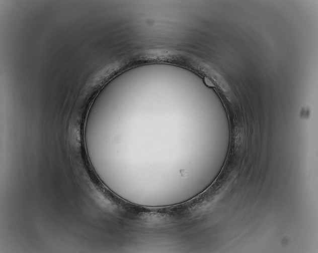 X0000101180633200807111116