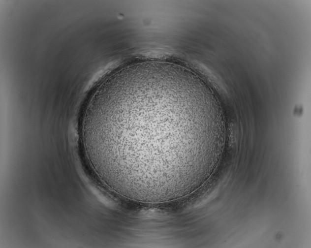 X0000101180634200807111116