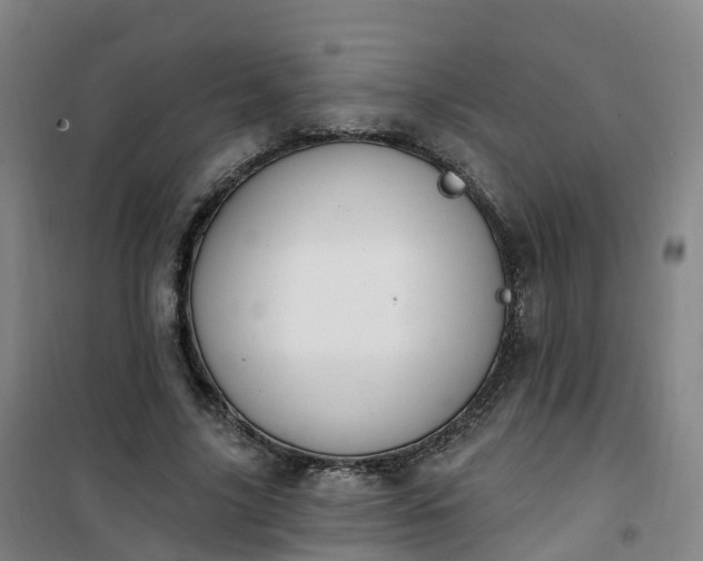 X0000101180635200807111116