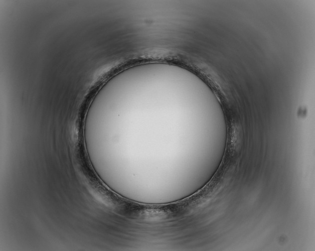 X0000101180636200807111116