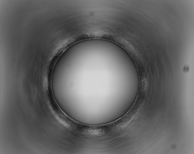 X0000101180638200807111116