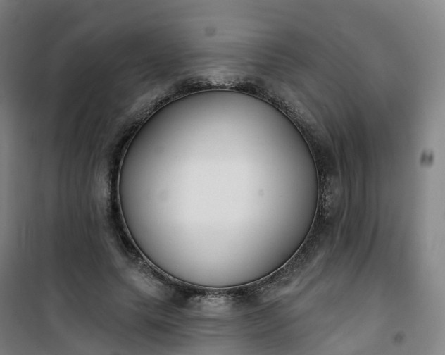 X0000101180639200807111116