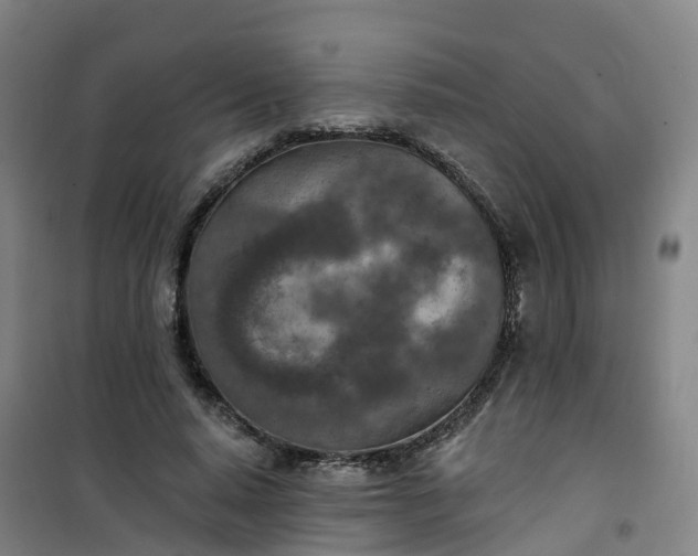 X0000101180640200807111116