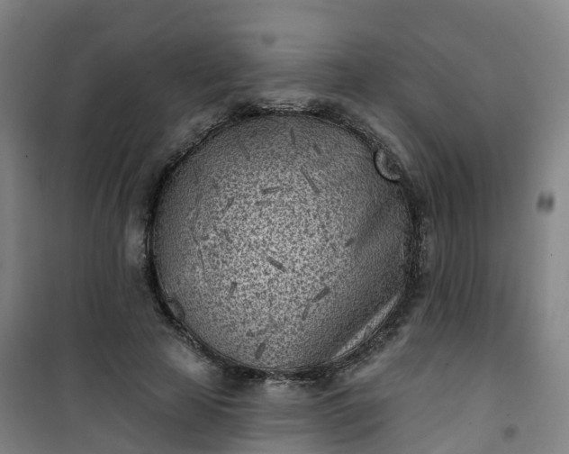 X0000101180641200807111116
