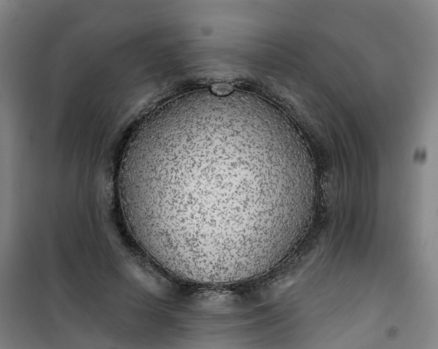 X0000101180642200807111116