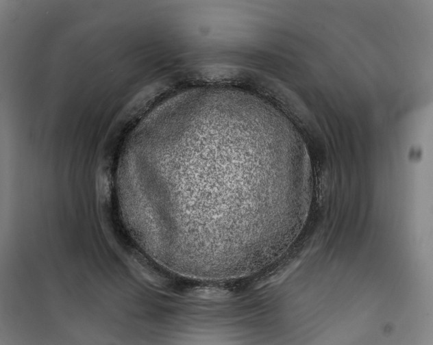 X0000101180644200807111116