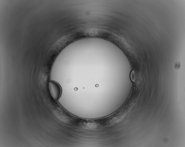 X0000101180645200807111116