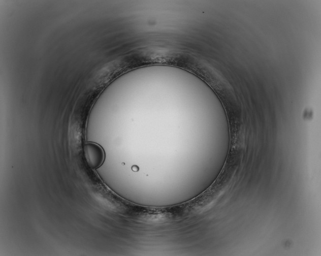 X0000101180646200807111116
