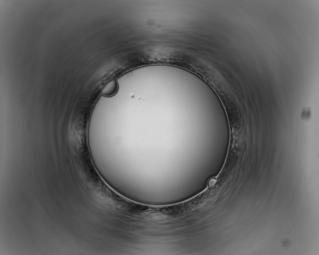 X0000101180648200807111116